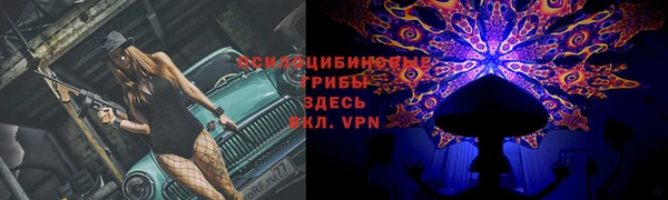 гашик Медвежьегорск