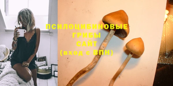 ешки Аркадак